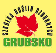 logo naszej szkki